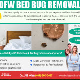 DFW-Bed-Bug-Removal