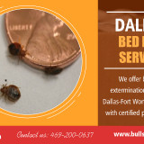 Dallas-Bed-Bug-Servicecd80b0a3137e062e