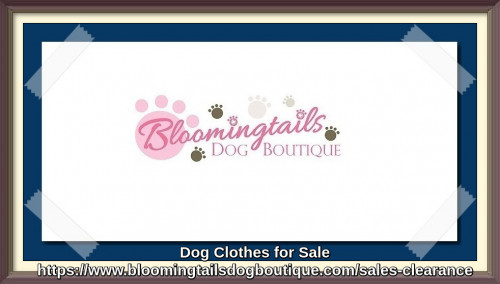 Dog-Clothes-for-Sale-bloomingtailsdogboutique.jpg