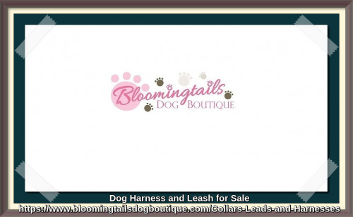 Dog-Harness-and-Leash-for-Sale-bloomingtailsdogboutique.jpg