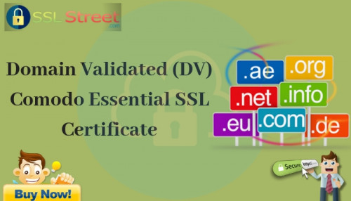 Domain Validated (DV)Comodo Essential SSL Certificate - Gifyu