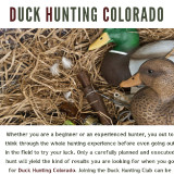 Duck-Hunting-Colorado