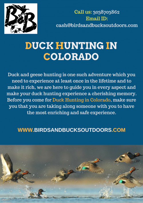 No matter you look for the duck hunt or geese hunt, we provide you with the experienced instructors and professionals duck hunting outfitters to make the experience a cheerful memory. To assist the clients and the hunters for getting the best experience in the field of hunting, Duck Hunting in Colorado plays a significant role. 

https://www.birdsandbucksoutdoors.com/colorado-duck-hunting-club/