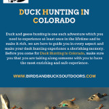 Duck-Hunting-in-Colorado