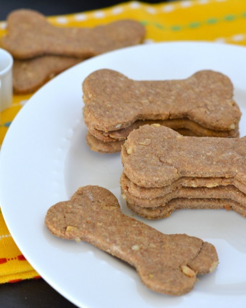 Visit Dog Owner Connection and explore a wide range of online dogs treats in Australia. We provide the best dog treats recipes for your pet at low cost. For more info call us or visit our website @ http://www.dogownerconnection.com/