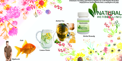 Hydrocele Cure with Natural Remedies for Hydrocele is one of the most general natural treatments offered by Natural Herbs Clinic. This is the most excellent healing alternative that works with its herbal ingredients to fight the symptoms of hydrocele and eliminate the swelling... https://www.woddal.com/read-blog/18175_eliminate-swelling-and-fluid-of-hydrocele-with-herbal-remedies.html