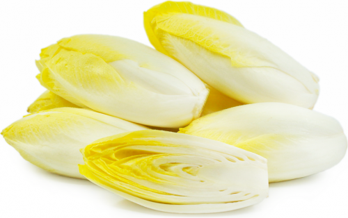 Endive.png