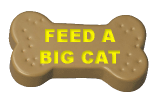 FEED-A-BIG-CAT.gif