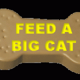 FEED-A-BIG-CAT