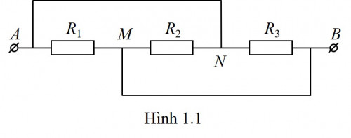 Fig 1.1