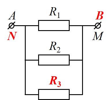 Fig-1d.jpg