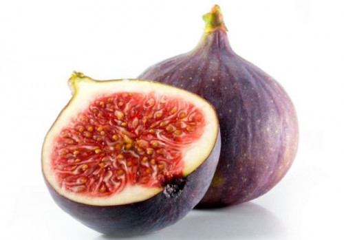 Fig-Premium.jpg