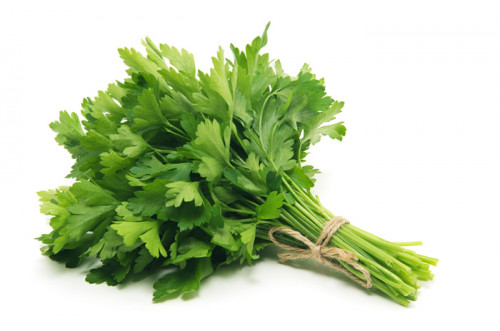 Flat-Parsley.jpg