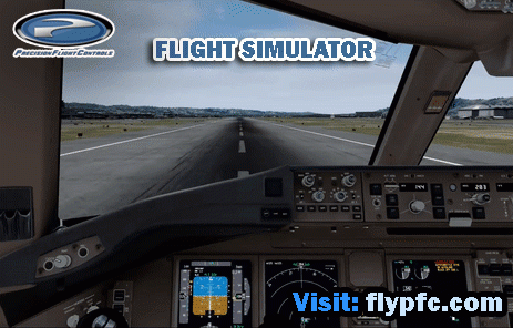Flight Simulator Simulation