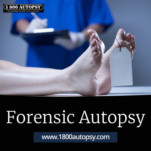 Forensic-Autopsy.png