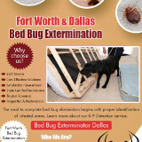Fort-Worth--Dallas-Bed-Bug-Extermination