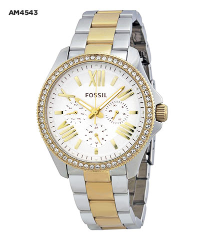 73% Off Fossil Cecile Stainless Steel Ladies` Watch Promo - LBMS
