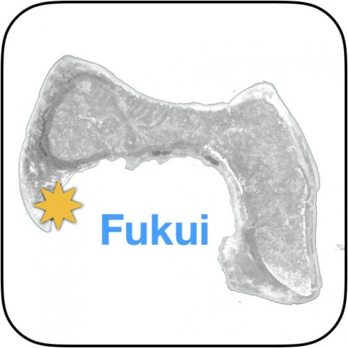 Fukui map icon
