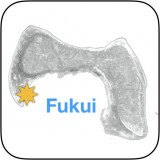 Fukui-map-icon