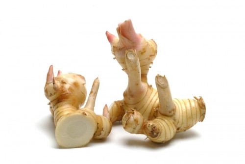 Galangal8457cc14ac33d5a9.jpg