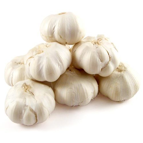 Garlic7d2b2a84fac0d47c.jpg