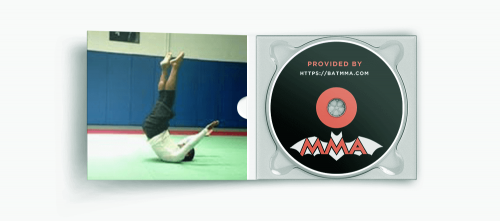 Ginastica-Natural-for-Fighters-II-DVD-with-Alvaro-Romano.png