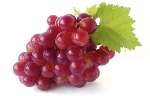 Grapes-Red3feb6a0f35f66a74.jpg