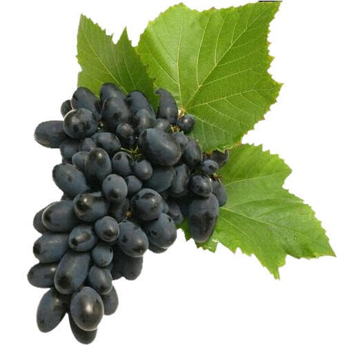 Grapes-Sharad-Seedless16b002ea43b2ffba.jpg