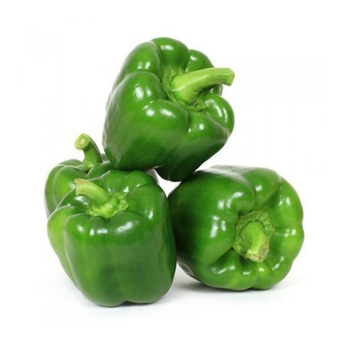 Green-Capsicum.jpg