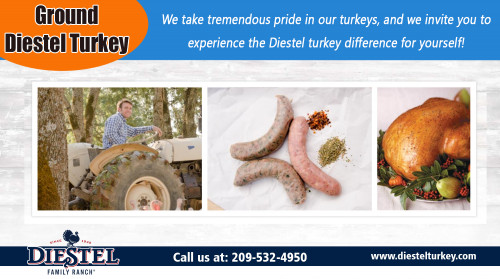 Ground-Diestel-Turkey.jpg
