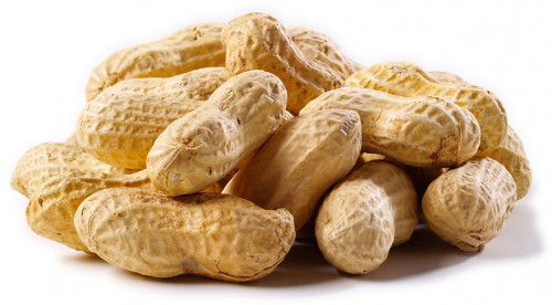 Groundnut-Fresh87a303baa4cccd7f.jpg