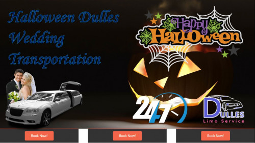 Halloween-Dulles-Wedding-Transportation.jpg