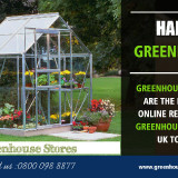 Halls-Greenhouse