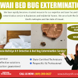 Hawaii-Bed-Bug-Extermination