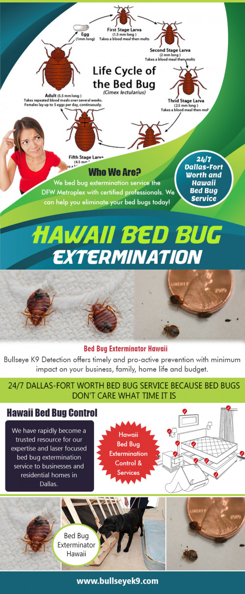 Hawaii-Bed-Bug-Extermination33e39d2c67df6ed7.jpg