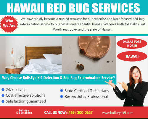 Hawaii-Bed-Bug-Services.jpg