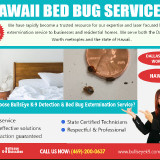 Hawaii-Bed-Bug-Services