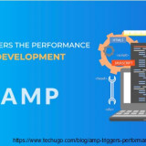 How-AMP-Triggers-The-Performance-of-Web-App-Development