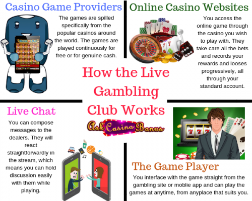 Wants to know about how the games you play online really work. Get all the brief details about casino gambling only with AskCasinoBonus.

http://askcasinobonus.com/