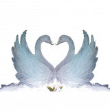 Ice-Swan1