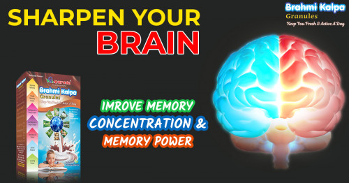 Increases-your-memory-power.jpg