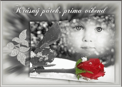 Krasny-patek-prima-vikend.gif