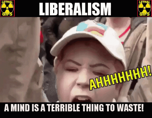 LIBERALISM WASTED MINDS