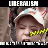LIBERALISM-WASTED-MINDS