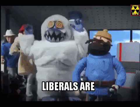 LIBERALS ARE ENRAGED GIF