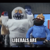 LIBERALS-ARE-ENRAGED-GIF