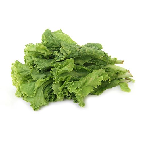 Letuce.jpg