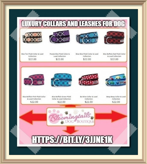 Keep your curious companion in check with luxury collars and leashes for dog. https://bit.ly/42bQb6h