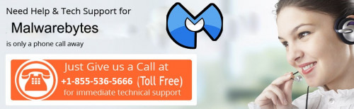 Technical issue come back again and again despite putting all the effort to subdue them completely. And this peculiar situation sought for a technical assistance. Malwarebytes Customer Support Number +1-855-536-5666 is leading third-party support that omits all kind of antivirus anomalies on the go. visit here for more info :- https://www.malwarebyteshelpline.com/malwarebytes-issues-this-is-what-professionals-do/