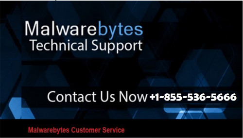 Getting the Malwarebytes extension for Firefox is not a difficult task. However, some users might struggle to get this feature on onboard. In such a case, we recommend you call our technician on Malwarebytes Customer Service Number +1-855-536-5666. This peculiar number is toll-free and run throughout the day. We ensure 100% client satisfaction through quick resolution methodology. more info visit here:- https://www.malwarebyteshelpline.com/easy-steps-install-uninstall-upgrade-malwarebytes-mac/